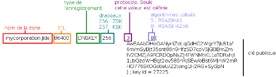 Structure d'un enregistrement DNSKEY