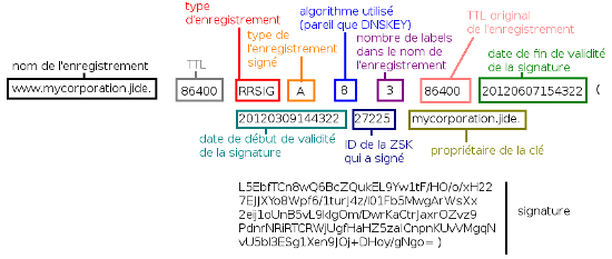 Structure d'un enregistrement RRSIG